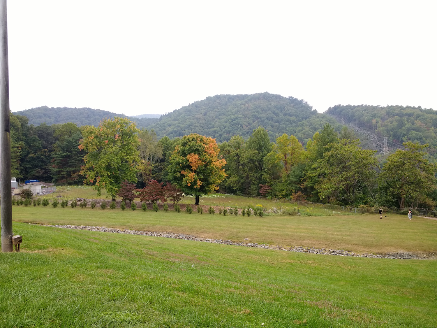 Scenery on access road to the Biltmore Estate in Ashville NC.